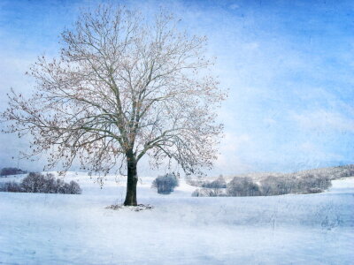 Bild-Nr: 10378029 Winterlandschaft Erstellt von: Heike  Hultsch