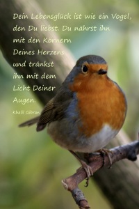 Bild-Nr: 10378765 Bird Erstellt von: youhaveadream