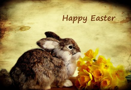 Bild-Nr: 10379425 Happy Easter Erstellt von: Heike Hultsch