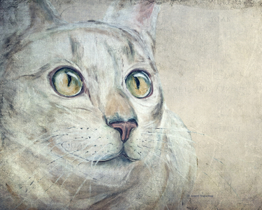 Bild-Nr: 10382643 CATS MOMENTS 3 (weniger farbintensiv) Erstellt von: Annett Tropschug
