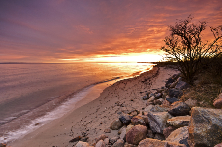 Bild-Nr: 10385507 Goldenes Licht an der Ostseeküste Erstellt von: Nordbilder