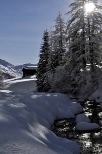 Bild-Nr: 10386901 Winterlandschaft Erstellt von: Ralf Nemeth