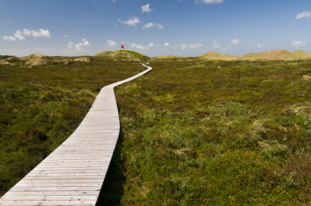 Bild-Nr: 10392263 Weite auf Amrum Erstellt von: danielschoenen