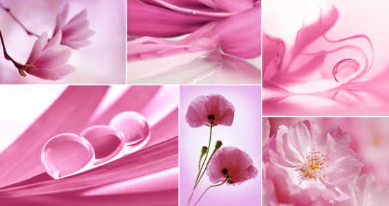 Bild-Nr: 10398225 Collage Pink Erstellt von: Atteloi