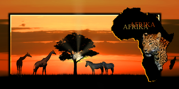 Bild-Nr: 10401781 Kontinent Afrika mit Leopard Erstellt von: Mausopardia