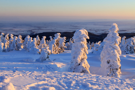 Bild-Nr: 10419559 Verschneite Winterlandschaft am Brocken Erstellt von: BilderWerkstatt