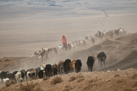 Bild-Nr: 10422177 Massai Erstellt von: wcezanne