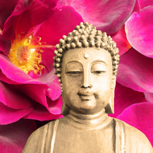 Bild-Nr: 10422297 Lovely buddha Erstellt von: Heidemarie Sattler