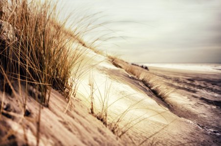 Bild-Nr: 10423023 Dünen und Meer Erstellt von: Timo Geble