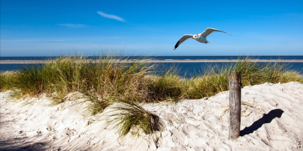 Bild-Nr: 10425889 LANGEOOG Erstellt von: Reiner Würz