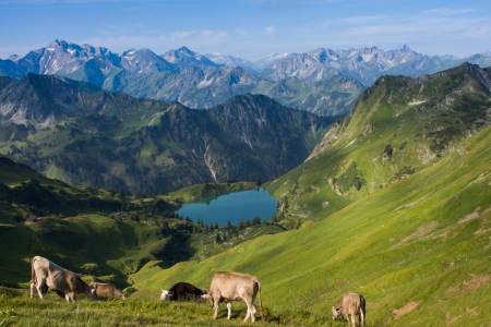 Bild-Nr: 10428575 BERGSEE Erstellt von: Stephan Rech