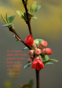 Bild-Nr: 10432083 Poesie Erstellt von: youhaveadream