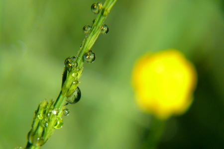 Bild-Nr: 10435333 Sonne und Regen Erstellt von: Ostfriese