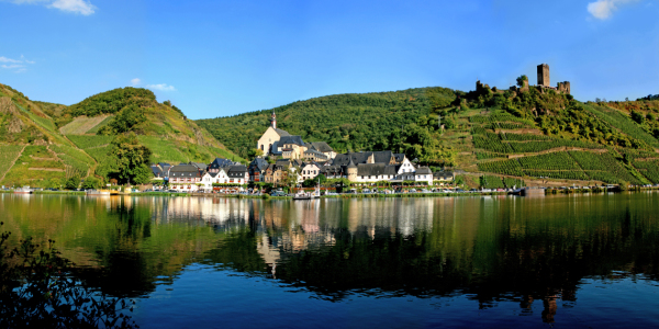 Bild-Nr: 10445974 Beilstein an der Mosel  Erstellt von: Mausopardia