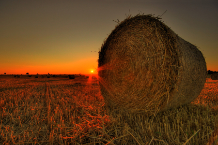 Bild-Nr: 10447774 Rundballen Erstellt von: PhotoArt-Hartmann