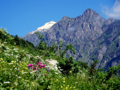 Bild-Nr: 10448304 Herrliche Bergwelt Erstellt von: GUGIGEI