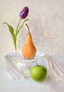 Bild-Nr: 10459202 Stilleben mit Früchten und Tulpe Erstellt von: Rolf Eschbach