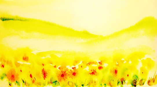 Bild-Nr: 10472234 Sunny day Erstellt von: M.A. Ziehr