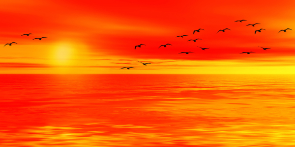 Bild-Nr: 10478154 romantischer Sonnenuntergang Erstellt von: DagmarMarina