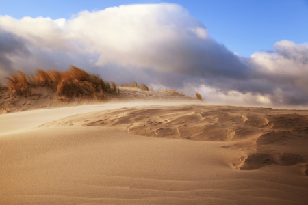 Bild-Nr: 10481838 Sandsturm Erstellt von: FotoDeHRO