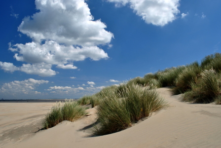 Bild-Nr: 10484258 Dünenlandschaft mit Wolkenhimmel  Erstellt von: Susanne Herppich