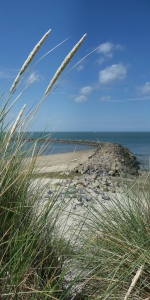 Bild-Nr: 10490242 Blick aus Düne auf Buhne Erstellt von: Susanne Herppich