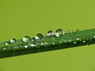 Bild-Nr: 10493733 Wassertropfen Erstellt von: gabii40