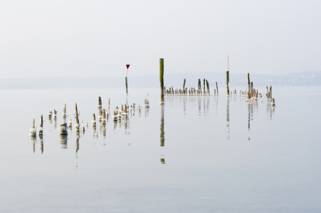 Bild-Nr: 10495801 Bodenseewinter Erstellt von: danielschoenen