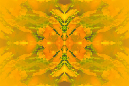 Bild-Nr: 10499985 Orange Blues Erstellt von: wompus