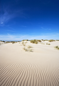 Bild-Nr: 10516031 Strandspuren Erstellt von: Timo Geble