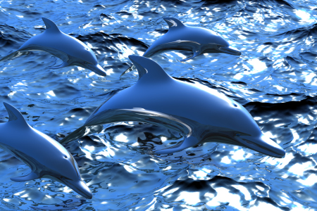 Bild-Nr: 10516419 Dolphins Erstellt von: dresdner