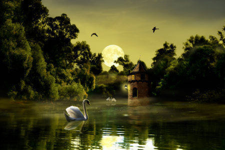 Bild-Nr: 10516495 Der See mit Schwänen im Mondschein  Erstellt von: Mausopardia