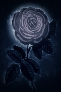 Bild-Nr: 10528457 blue Rose Erstellt von: DagmarMarina