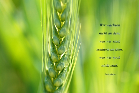 Bild-Nr: 10537027 Growing Erstellt von: youhaveadream