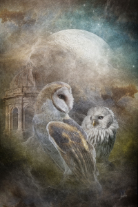 Bild-Nr: 10539045 owl of magic Erstellt von: greenfeed