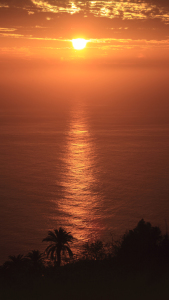 Bild-Nr: 10551371 Sunset mit Palme Erstellt von: Taurus