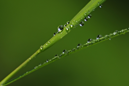 Bild-Nr: 10553625 Wassertropfen Erstellt von: gabii40