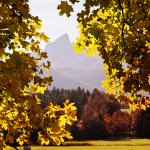 Bild-Nr: 10553877 herbst in den bergen Erstellt von: augenWerk