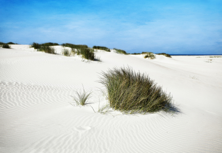 Bild-Nr: 10556357 Weiße Düne Norderney Erstellt von: Timo Geble