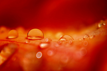Bild-Nr: 10557485 Feuerwasser Erstellt von: youhaveadream