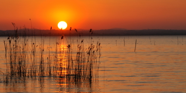 Bild-Nr: 10568876 Am Trasimeno-See Erstellt von: GUGIGEI