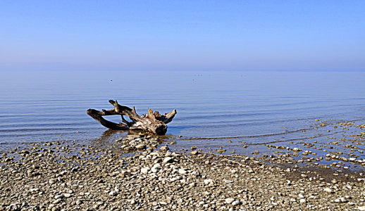 Bild-Nr: 10575255 .. Strandgut .. Erstellt von: GUGIGEI