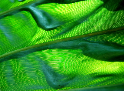 Bild-Nr: 10580561 Blatt Erstellt von: GUGIGEI