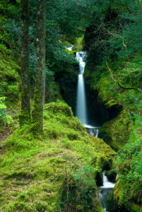 Bild-Nr: 10585779 Tor zur Elfenwelt, Poulanass Waterfall, Co. Wicklow Erstellt von: Stefan Friedhoff