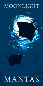 Bild-Nr: 10585899 Moonlight Mantas Erstellt von: dresdner