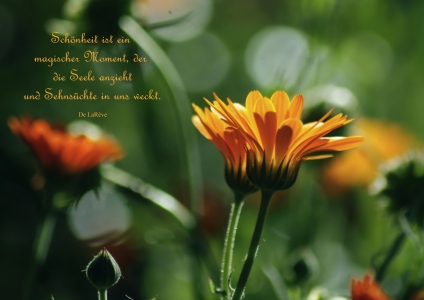 Bild-Nr: 10598415 Magic Erstellt von: youhaveadream