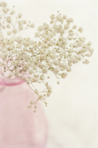 Bild-Nr: 10599718 baby breath Erstellt von: mexi-photos