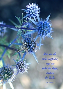 Bild-Nr: 10601444 Sternchen Erstellt von: youhaveadream