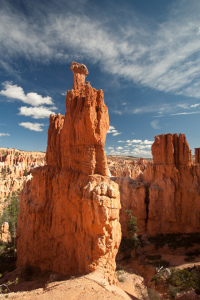 Bild-Nr: 10607836 Bryce Canyon III Erstellt von: Stefan Rieger