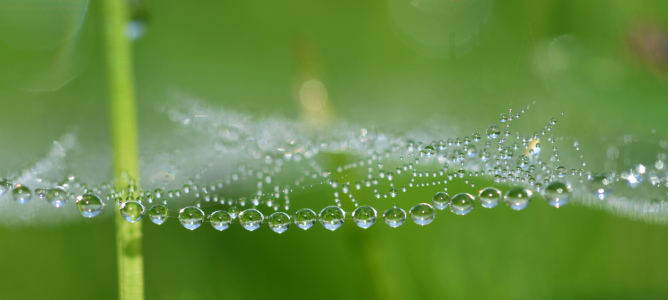 Bild-Nr: 10609958 Wunderwelt Natur Erstellt von: Susann Mielke